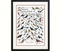 Petersons Backyard Birds of the Rocky Mountains Poster