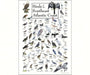Birds of the Southeast Atlantic Coast Poster