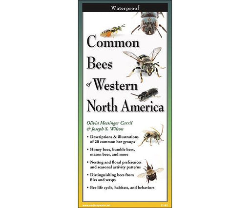 Common Bees of Western North America Folding Guide by Joseph S Wilson and Olivia Messinger Carril