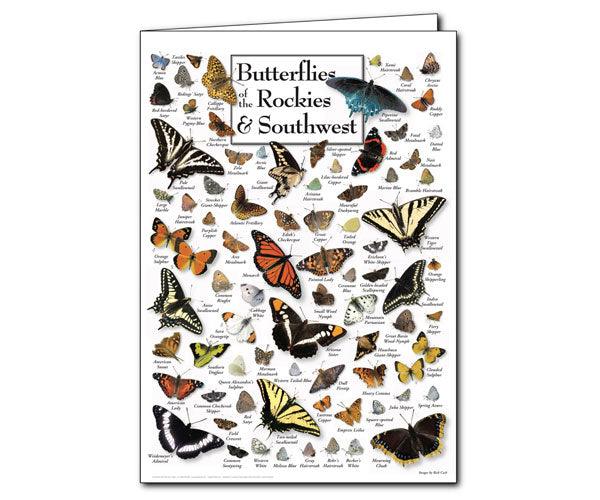 Butterflies of the Rockies and Southwest Greeting Cards