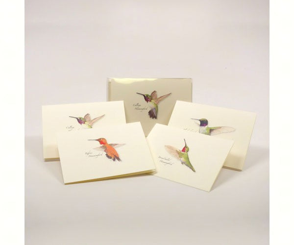 Western Hummingbird Assortment