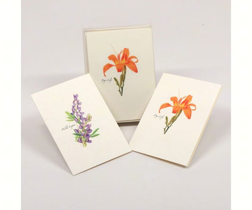 Wildflower Assortment Notecards