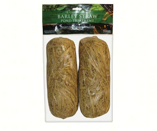 2 Mini Bales Barley Straw
