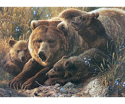 Cobble Hill Grizzly Family 350 Piece Puzzle