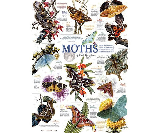 Cobble Hill Moth Collection 1000 Piece Puzzle