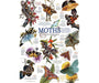 Cobble Hill Moth Collection 1000 Piece Puzzle