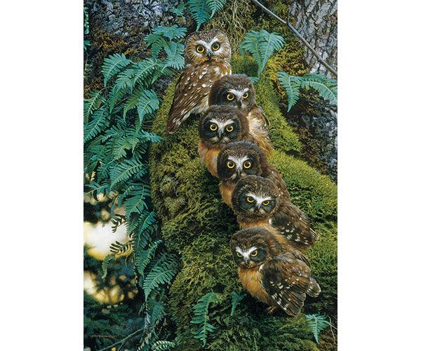 Cobble Hill Family Tree 1000 Piece Puzzle