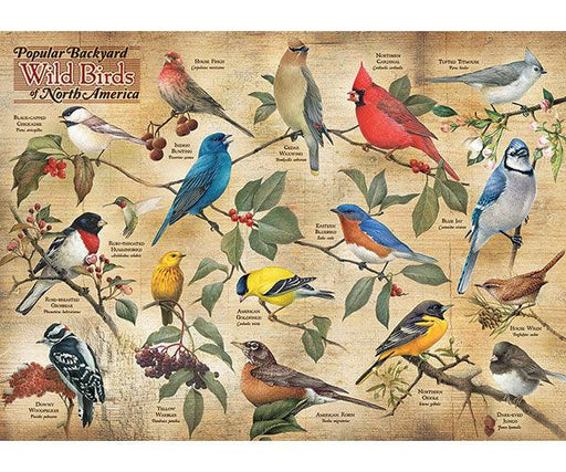 Cobble Hill Popular Backyard Birds of North America 1000 Piece Puzzle