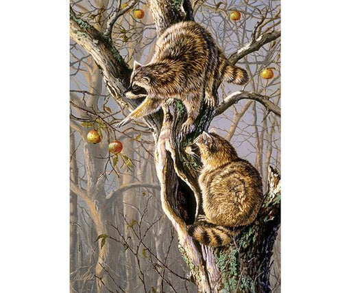 Cobble Hill Ringtail Raiders 1000 Piece Puzzle