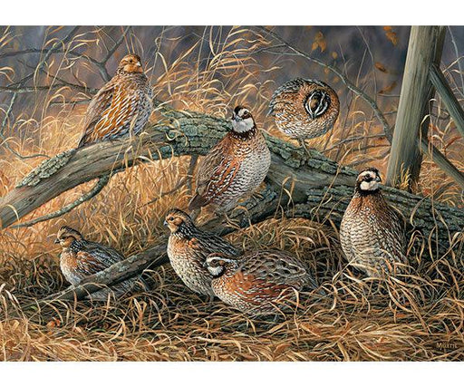 Cobble Hill Quail 1000 Piece Puzzle