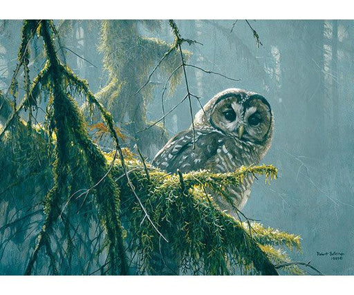 Cobble Hill Spotted Owl Mossy Branches 500 Piece Puzzle