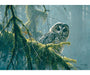 Cobble Hill Spotted Owl Mossy Branches 500 Piece Puzzle