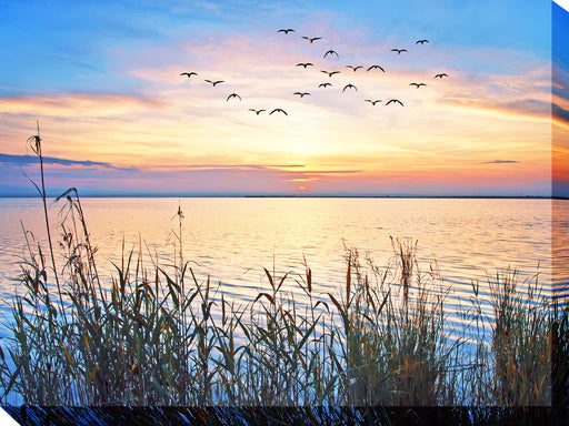 LAKE SUNSET by West of the Wind | Waterproof Outdoor Wall Art