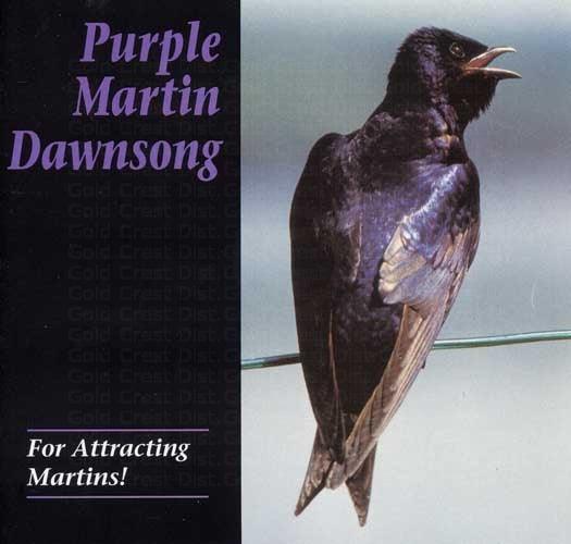 Dawn Song CD Purple Martin Attractors