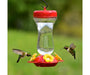 16 oz Top-Fill Glass Hummingbird Feeder
