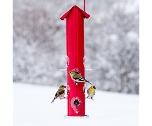 Red 8 Port Seed Feeder