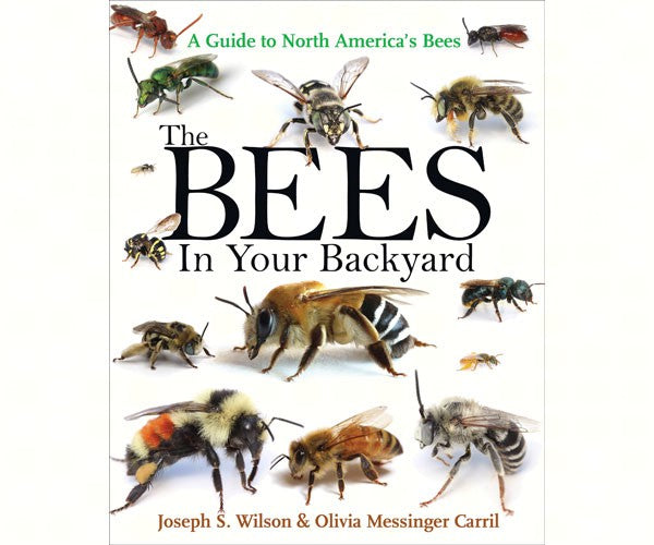 The Bees in Your Backyard by Joseph S Wilson and Olivia Messinger Caril