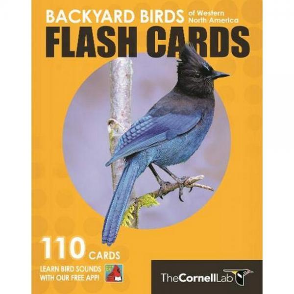 Backyard Birds Flash Cards - Western North America