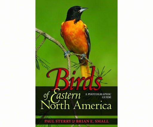 Birds of Eastern North America by Paul Sterry and Brian E Small