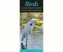 Birds of Southwest Florida by Author Larry Manfredi