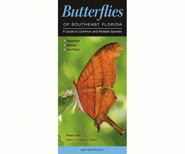 Butterflies of the Southeast Florida by Marc C Minno