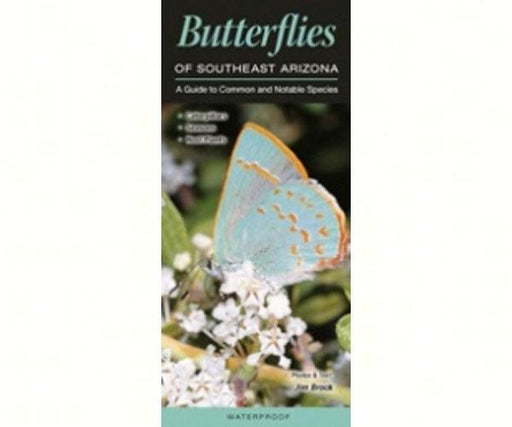 Butterflies of Southeast Arizona by Jim Brock