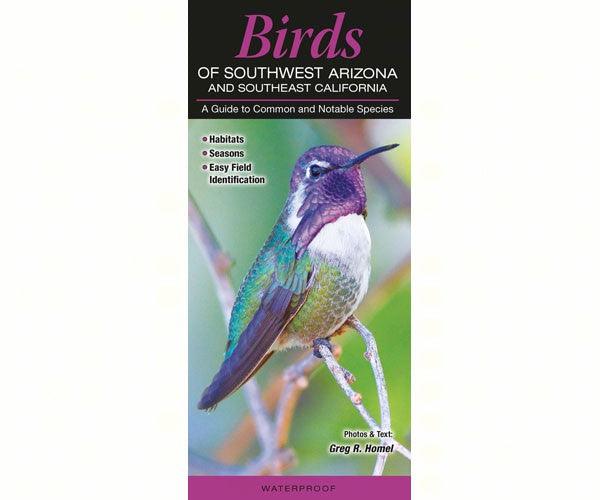 Birds of Southwest Arizona and Southeast California by Greg R Home