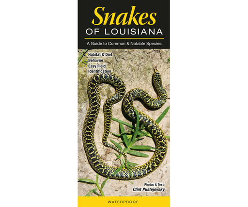 Snakes of Louisiana by Cliff Pustajovsky