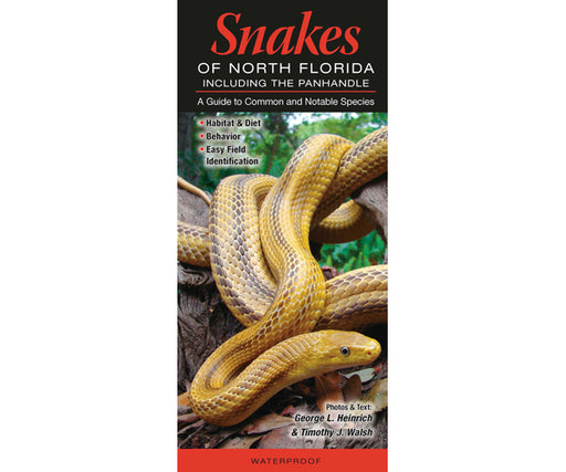 Snakes of Northern Florida by George L Heinrich and Timothy J Walsh