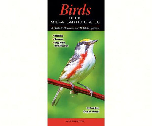 Birds of the Mid-Atlantic States