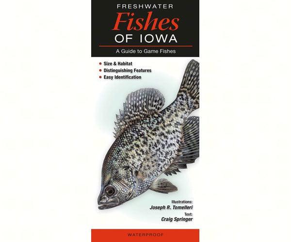 Freshwater Fishes of Iowa by Craig Springer