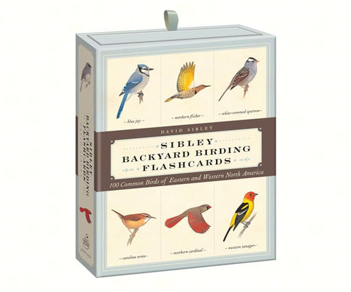 Sibley Backyard Birding Flashcards