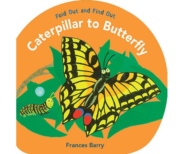 Caterpillar to Butterfly Fold Out and Find Out by Frances Barry