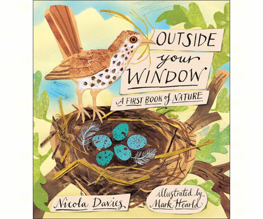 Outside Your Window A First Book of Nature by Nicola Davies