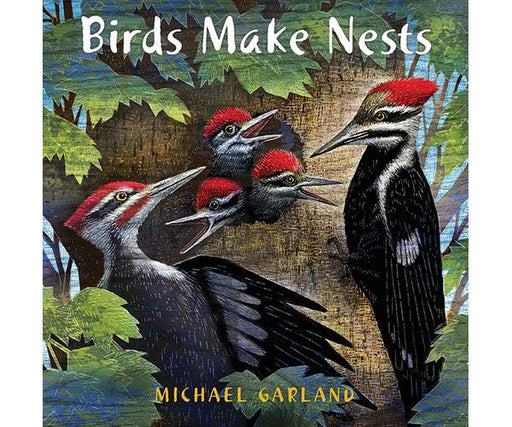 Birds Make Nests by Michael Garland