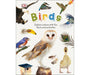 Birds - Explore Nature with Fun Facts and Activities