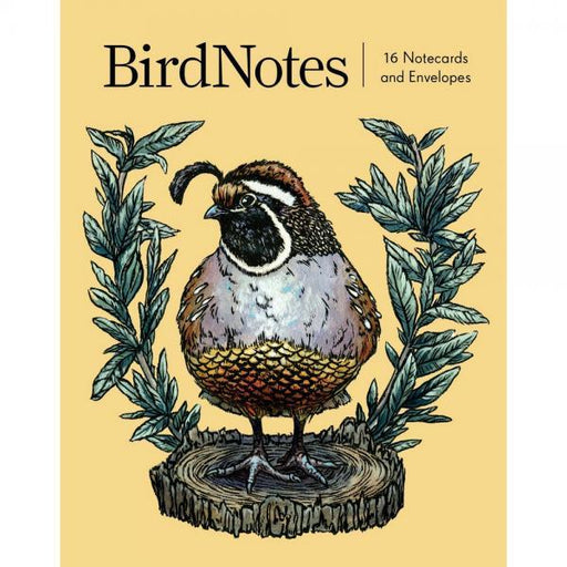 BirdNotes Notecards