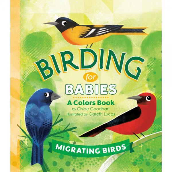Birding for Babies Migrating Birds A Colors Book
