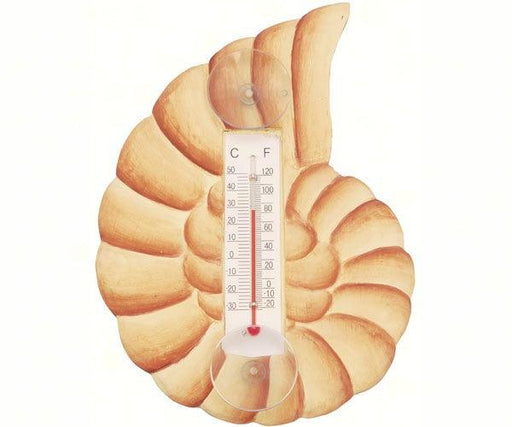 Brown Nautilus Shell Small Window Thermometer