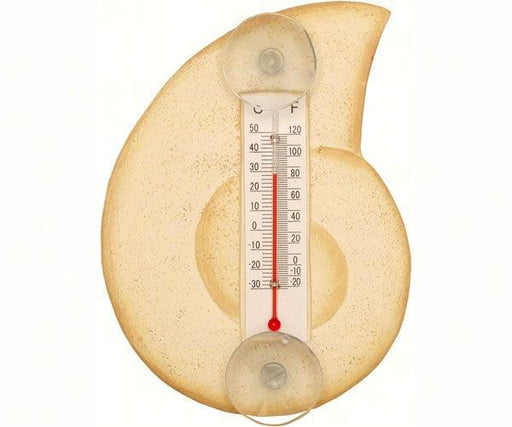 Cream Nautilus Shell Small Window Thermometer