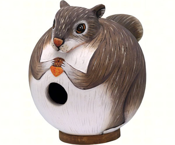 Squirrel Gord-O Bird House
