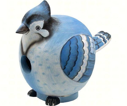 Blue Jay Gord-O Bird House