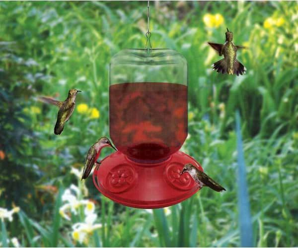 Dr. JB complete Switchable 48 oz Feeder with Red Flowers Bulk