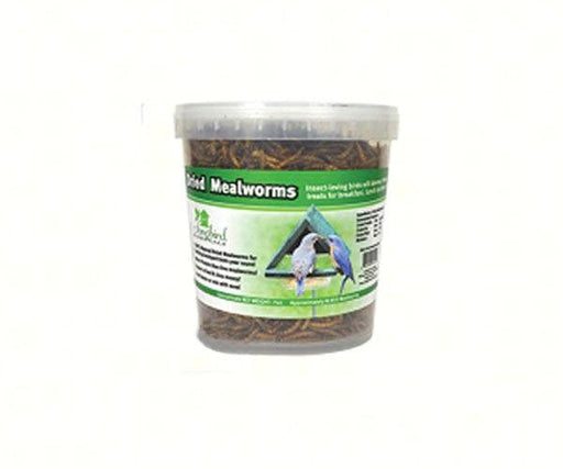 28.22 oz. Tub of Dried Mealworms