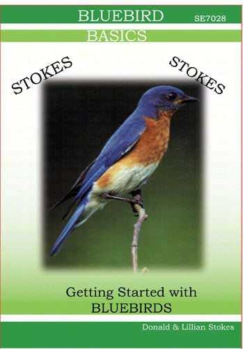 Stokes Bluebird DVD Video