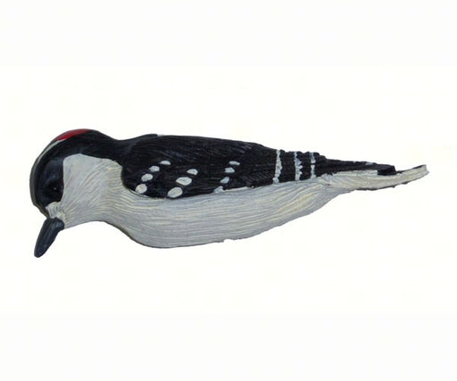 Woodpecker Magnet