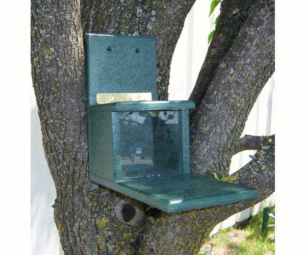 Recycled Plastic Squirrels Only Feeder