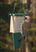 Suet Feeder with Tail Prop Hunter Driftwood