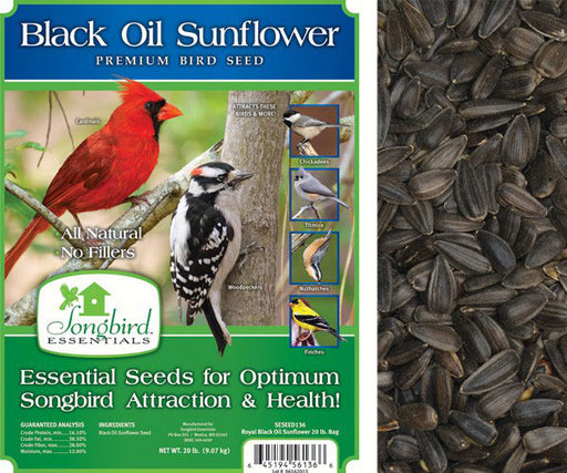 Songbird Black Oil Sunflower 20lb bag plus freight