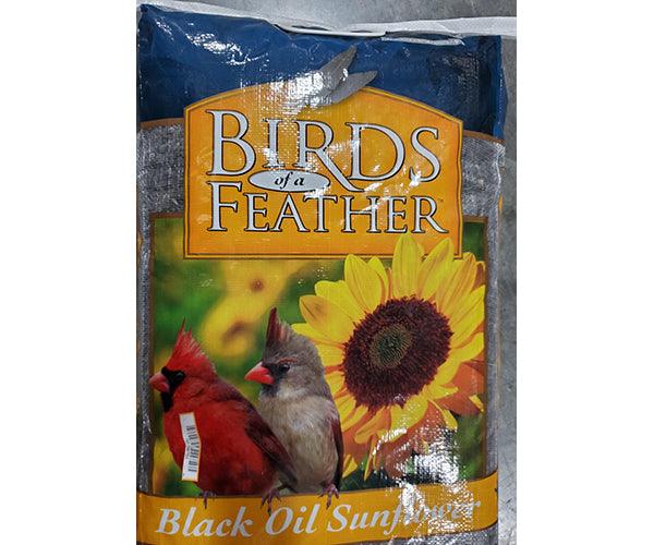Black Oil Sunflower 20lbs plus freight
